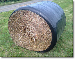 wrapped bale